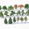 Various Types of Trees Collection with Different Leaf Colors Green Red Orange