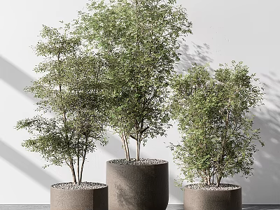 green plant potted plant pile green plant 3d model