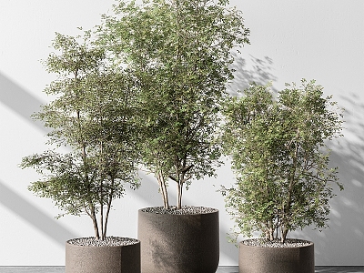 green plant potted plant pile green plant 3d model