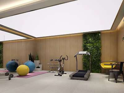Modern Home Gym With Yoga Balls Treadmill Exercise Bike Dumbbells And Green Plant Wall 3d model