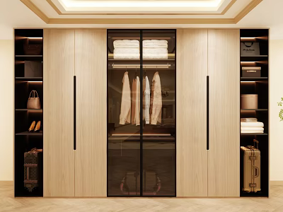 Modern Wardrobe With Glass Doors And Wooden Panels For Hanging Clothes Storage 3d model