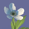 Beautiful White Flower with Yellow Stamens and Green Leaves on Purple Background