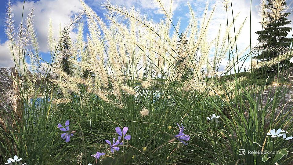 Tall White Feathery Grass With Green Blades And Purple White Small Flowers Under Blue Sky 3d model 