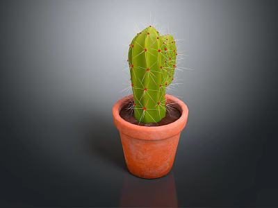 Healthy Green Cactus Growing in Orange Terracotta Pot on Dark Background 3d model