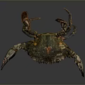 Colorful Clawed Crab Aquatic Animal Sculpture With Detailed Shell And Metallic Finish