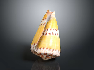 Colorful Spiral Conch Marine Animal Shell Featuring Yellow Body And Brown Stripes 3d model