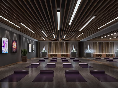 Yoga Studio Spacious Interior With Wooden Ceiling Purple Mats Artworks And Plants 3d model