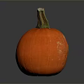 Bright Orange Pumpkin With Green Stem On Dark Background And Reflection