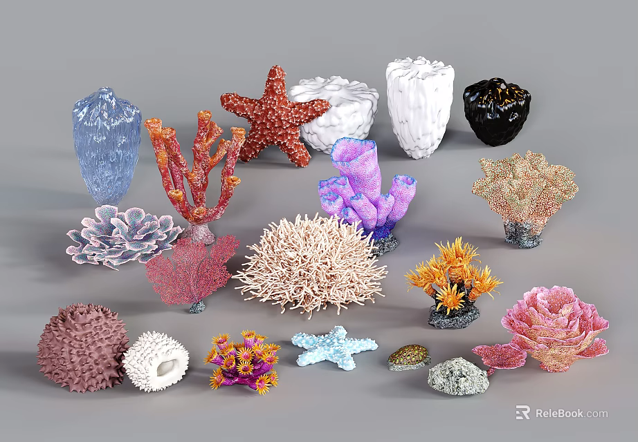Ocean Themed Decorative Ornament Set With Colorful Coral Starfish And Shells 3d model 
