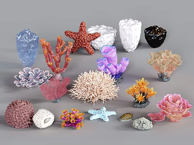 Ocean Themed Decorative Ornament Set With Colorful Coral Starfish And Shells 3d model