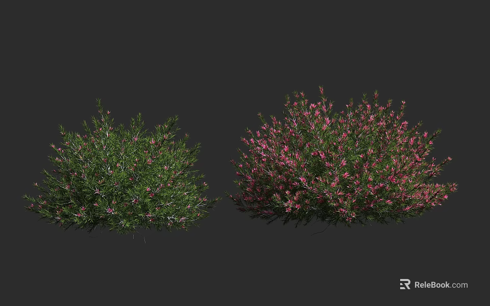 Two Bushes One Green and One with Pink Flowers in Outdoor Scene 3d model 