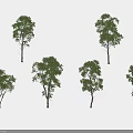 Arbor Trees In Various Forms With Green Foliage Displayed On White Background 3d model