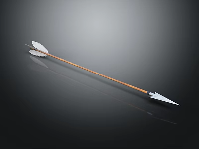 Weapon Arrow With Wooden Shaft White Fletching And Metal Arrowhead On Dark Background 3d model