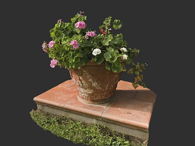 Terracotta Flower Pot With Pink And White Flowers Green Leaves On Red Brick Platform 3d model