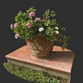 Terracotta Flower Pot With Pink And White Flowers Green Leaves On Red Brick Platform
