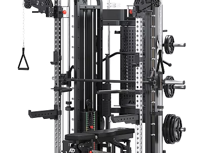 Multifunctional Home Gym Fitness Equipment With Weight Plates And Cable Attachments 3d model