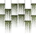 Lush Green Hanging Vines Arranged In Multiple Rows As Decorative Plants 3d model