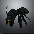 Shiny Black Ant 3D Model on Dark Background with Glossy Reflection 3d model