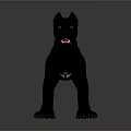 Black Dog Standing Alert with Perked Ears and Tongue Out on Dark Background