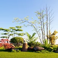 Courtyard Garden With Lush Green Grass Various Trees Stump Decor And Rocks Under Blue Sky