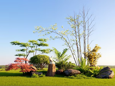 Courtyard Garden With Lush Green Grass Various Trees Stump Decor And Rocks Under Blue Sky 3d model