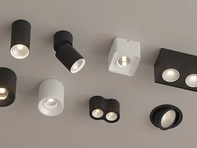 Modern Black And White Downlights And Spotlights With Various Designs For Indoor Lighting 3d model