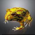 Yellow and Orange Frog with Red Eyes on Dark Background with Reflective Surface 3d model