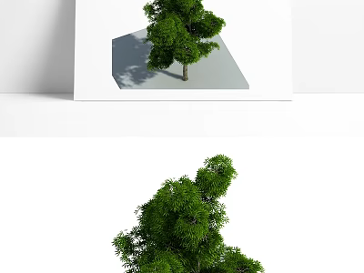 Lush Green Arbor 3D Model with Dense Foliage for Natural Landscape Design 3d model