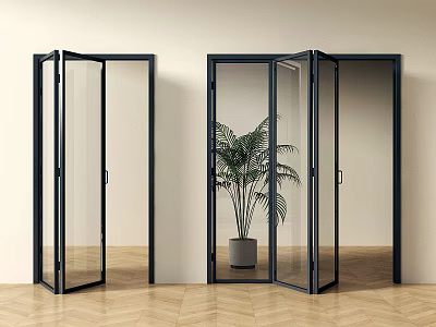 Modern Folding Doors With Black Frames Clear Glass And Green Plant In Interior 3d model