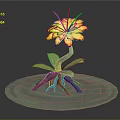 Vibrant Plant Featuring Yellow Orange Flowers Green Leaves Purple Roots on Light Green Circular Base