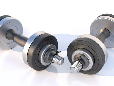 Adjustable Dumbbells For Fitness Sports Equipment With Metal Plates And Handles 3d model