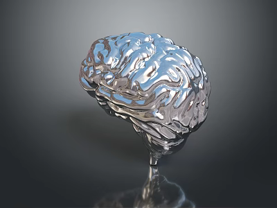 Advanced Medical Device Silver Brain Model for Medical Education and Research with Detailed Anatomical Structure 3d model