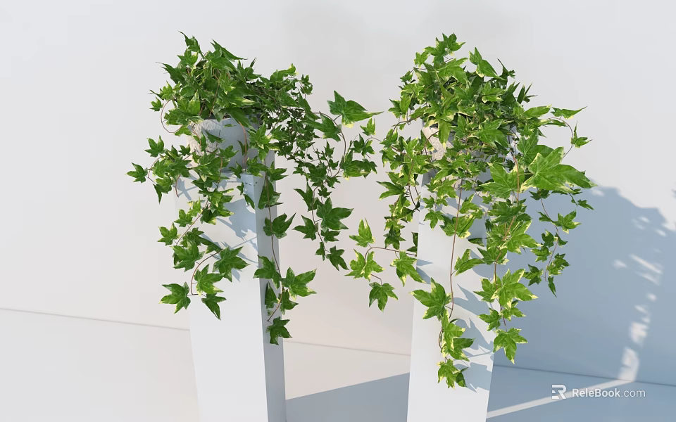 Green Ivy Vines With Lush Foliage Hanging From White Planters For Home Decor 3d model 