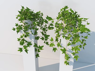 Green Ivy Vines With Lush Foliage Hanging From White Planters For Home Decor 3d model