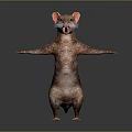 Standing Fictional Creature Character With Orange Ears Patterned Body And Outstretched Arms