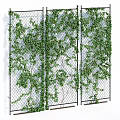 Lush Green Vines Climbing On Metal Mesh Fence For Outdoor Garden Decoration