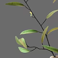 Stylish Decorative Ornament Set with Striped Vase Green Leaf Branches Cups and Candle