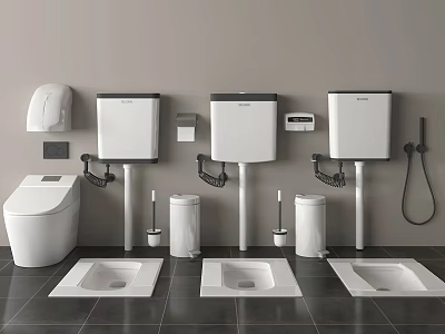 Bathroom Display of Different Toilets Including Bowl and Squat Models with Wall-Hung Cisterns and Accessories 3d model