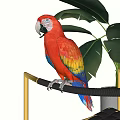 Scarlet Macaw With Vibrant Red Yellow Blue Feathers Perched On Black Bar Near Green Leaves