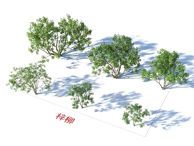 Ziliu Tree Plants model