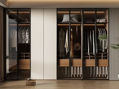 Modern Organized Walk-in Closet Interior Design With Glass Doors Hanging Clothes And Storage Shelves 3d model