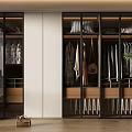 Modern Organized Walk-in Closet Interior Design With Glass Doors Hanging Clothes And Storage Shelves