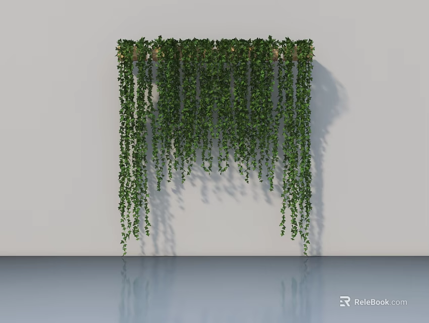 Lush Green Vines Hanging On Gray Wall With Drooping Tendrils And Floor Reflection 3d model 