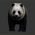 Cute Giant Panda With Black And White Fur In Standing Posture On Neutral Background