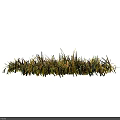 Natural Dry Grass Clump With Green And Yellow Leaves Organic Texture