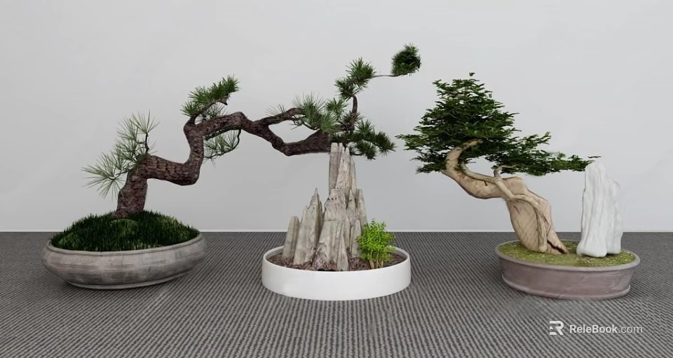 Beautiful Bonsai Plants With Curved Pine Branches Decorative Rocks And Potted Foliage 3d model 