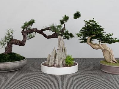 Bonsai model