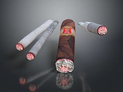 Various Premium Cigars With Labeled Dark Brown And Light Gray Bodies And Burning Tips 3d model