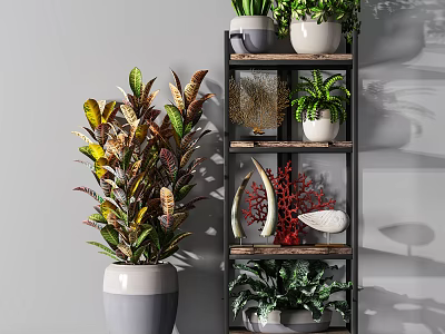 Indoor Bonsai Plants Arrangement On Multi Tiered Shelf With Colorful Foliage And Decorative Pieces 3d model