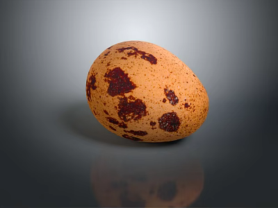 Fresh Quail Egg With Brown Spots On Smooth Surface Against Gray Background With Reflection 3d model